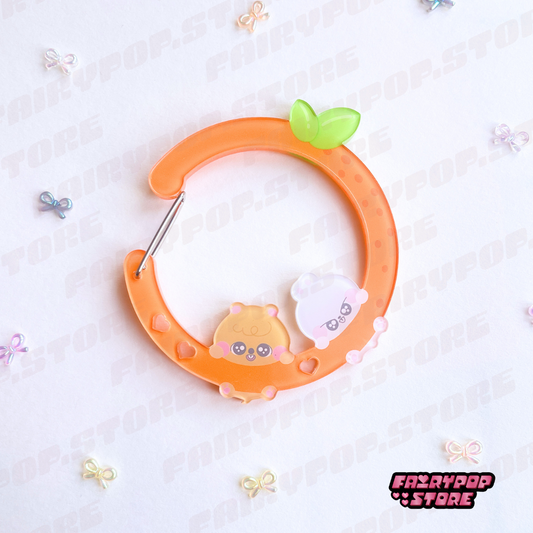Boddaramji Carabiner